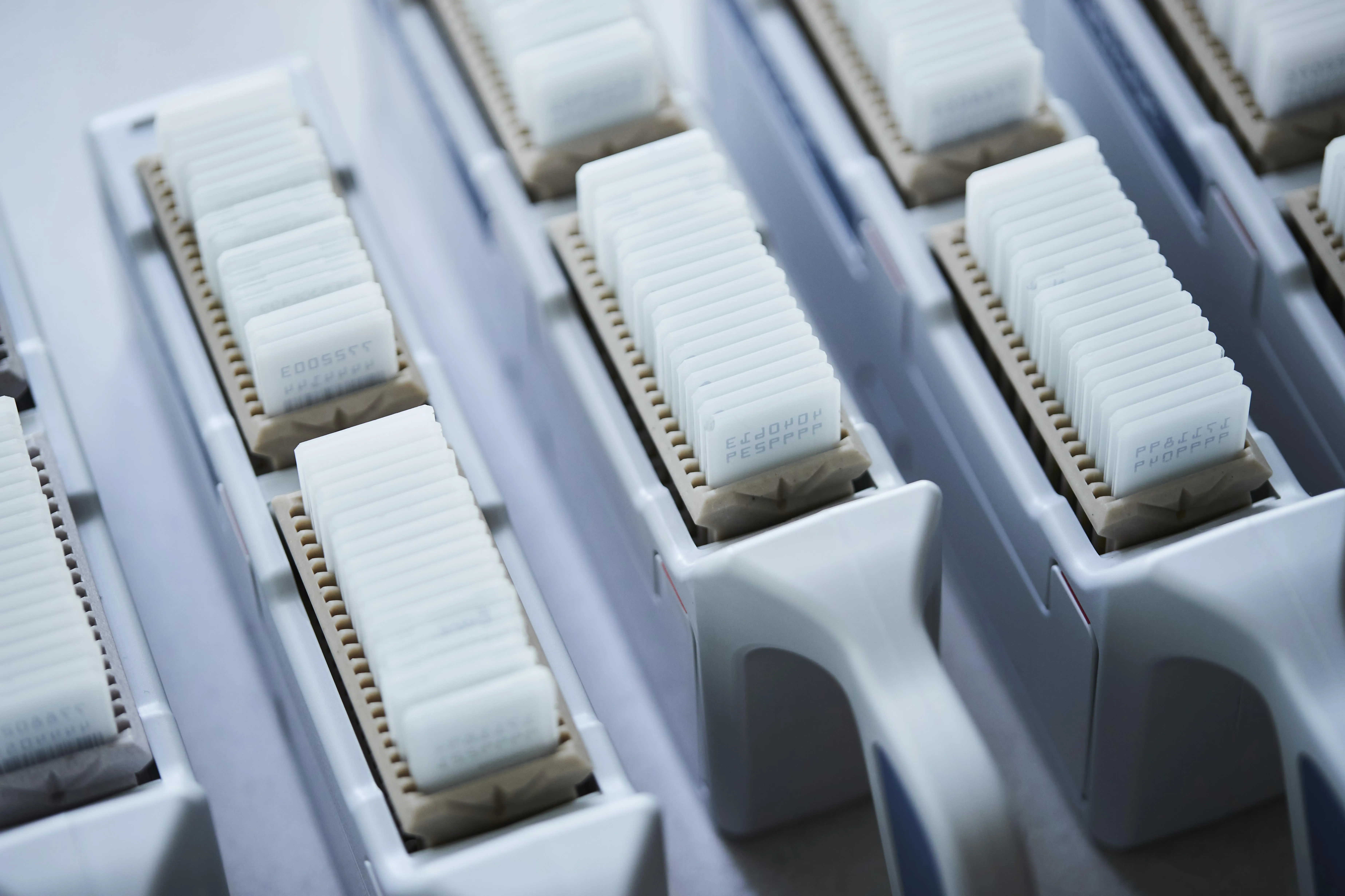 Cartouches de test rectangulaires blanches alignées dans un plateau du système médical Hologic.